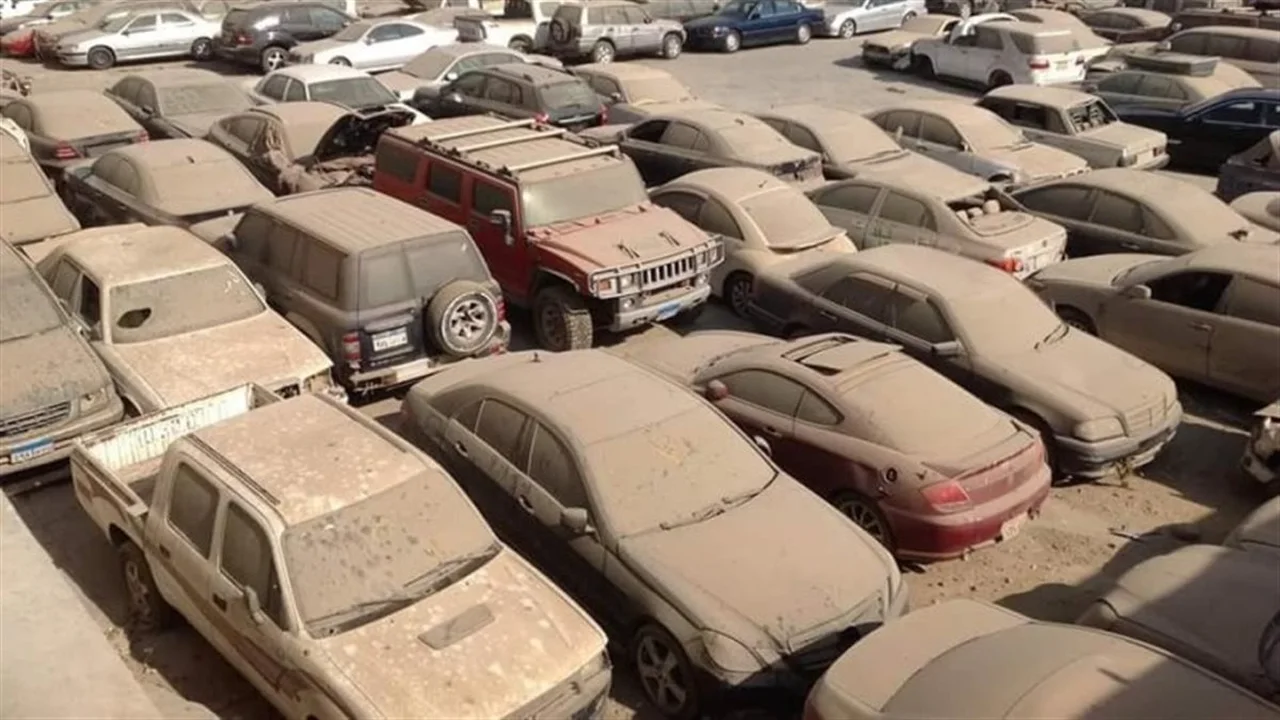 مزادات جمارك 2026.. شروط الحصول على سيارة أحلامك بأسعار تنافسية هذا العام